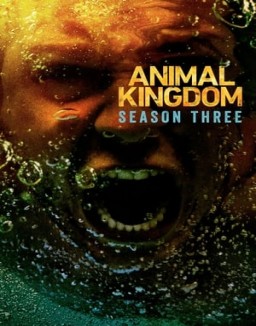 Animal Kingdom staffel  3 stream