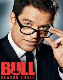 Bull staffel  3 stream