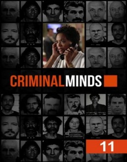 Criminal Minds staffel  11 stream