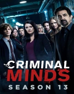 Criminal Minds staffel  13 stream