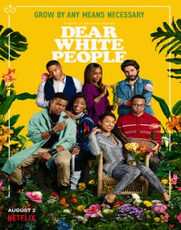 Dear White People staffel  3 stream