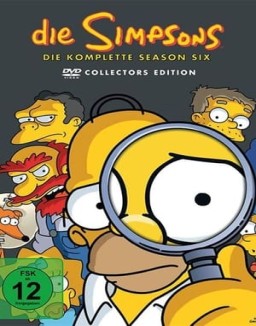 Die Simpsons staffel  6 stream