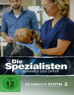 Die Spezialisten – Im Namen der Opfer staffel  3 stream