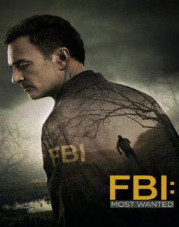 FBI: Most Wanted staffel  1 stream