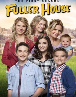 Fuller House staffel  1 stream