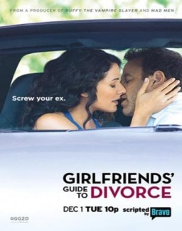 Girlfriends' Guide to Divorce