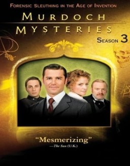 Murdoch Mysteries staffel  3 stream