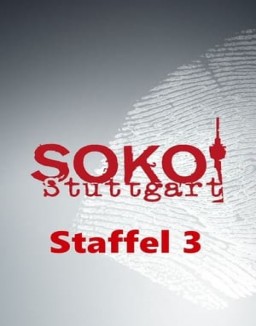 SOKO Stuttgart staffel  3 stream