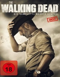 The Walking Dead staffel  9 stream