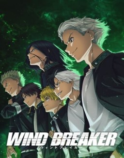 WIND BREAKER stream